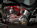 2007 Harley-Davidson Heritage, чёрный, 700000 рублей - вид 8