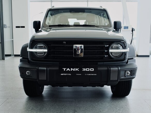 2026 Tank 300 I, серый - вид 1