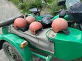 1988 Урал ИМЗ-8.103, зелёный, 60000 рублей - вид 4
