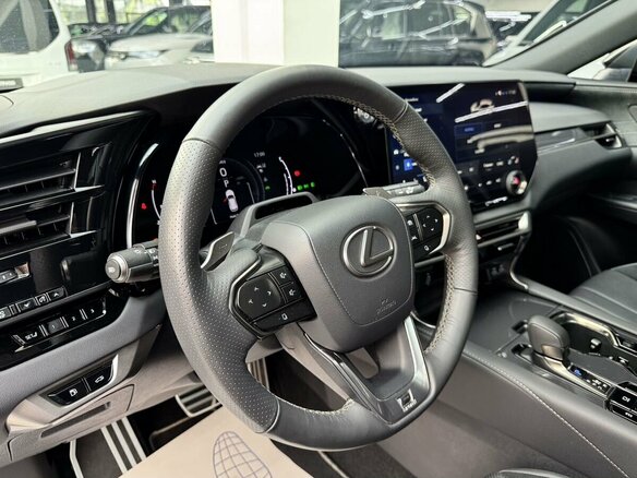 2023 Lexus RX 500h V, серебристый, 9970000 рублей - вид 18