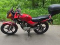 2012 Yamaha YBR125, красный, 100000 рублей