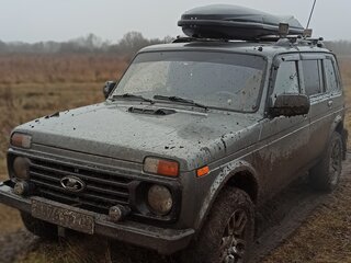 2009 Lada (ВАЗ) 2131 (4x4) 213105 I, серый, 450000 рублей, вид 3