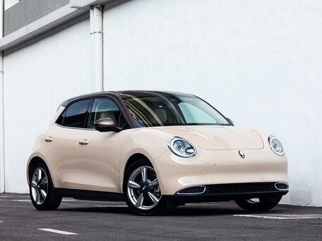 2025 Ora Good Cat 47.8 kWh I, бежевый, 1610000 рублей, вид 1