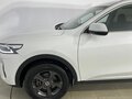 2020 Haval F7 I, белый, 1820000 рублей - вид 8
