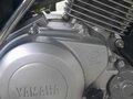 2016 Yamaha YBR125, чёрный, 165000 рублей - вид 11