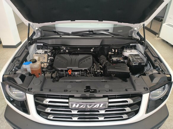 2024 Haval Dargo I, белый, 2250000 рублей - вид 26