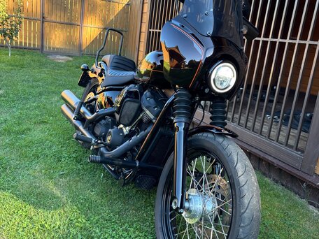 2019 Harley-Davidson Softail Custom, коричневый, 971000 рублей, вид 5