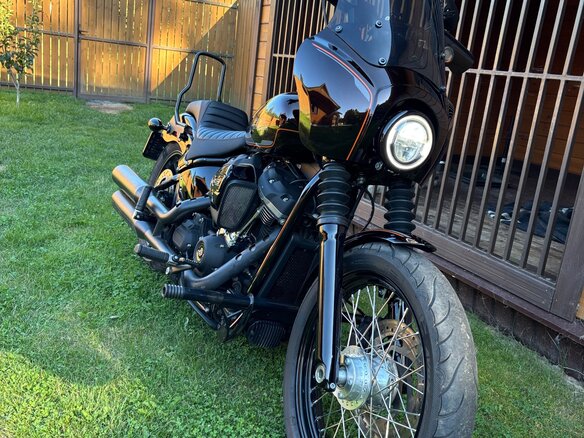 2019 Harley-Davidson Softail Custom, коричневый, 971000 рублей - вид 4