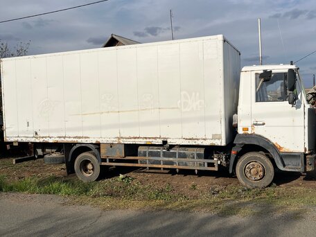 2010 МАЗ 4370, белый, 1090000 рублей, вид 3