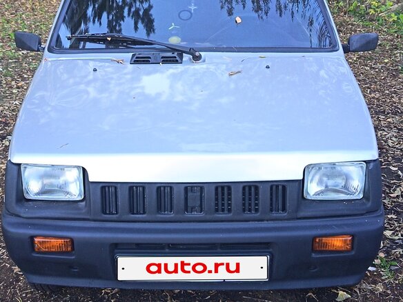 2005 Lada (ВАЗ) 1111 Ока КамАЗ, белый, 170000 рублей