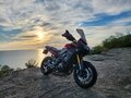 2015 Yamaha MT-09 Tracer (FJ-09), пурпурный, 850000 рублей - вид 4