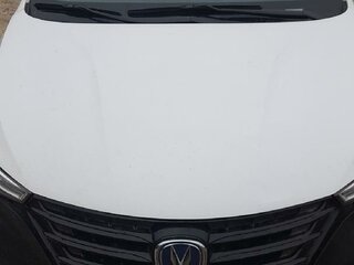 2024 Changan Alsvin, белый, 895000 рублей, вид 2