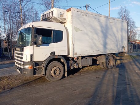 2002 Scania P-series, белый, 980000 рублей, вид 2