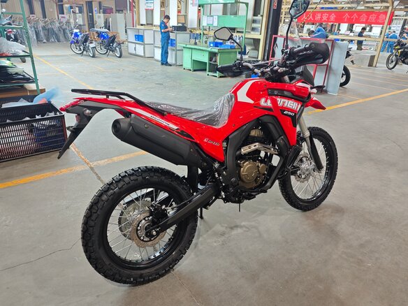 2026 Loncin DS250, пурпурный, 258000 рублей - вид 4