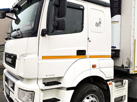2018 КамАЗ 5490 NEO, белый, 1650000 рублей, вид 1