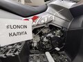 2026 Loncin XWolf 1000 Mud, серый, 1469000 рублей - вид 7