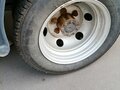 2016 ГАЗ ГАЗель Next, белый, 915000 рублей - вид 8
