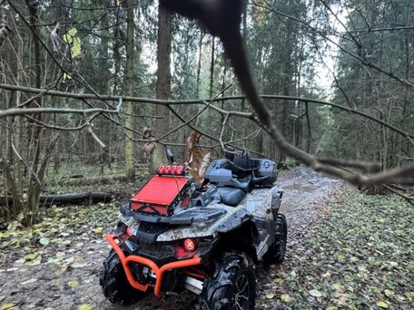 2018 Stels ATV-850 Guepard Trophy, серый, 850000 рублей, вид 1