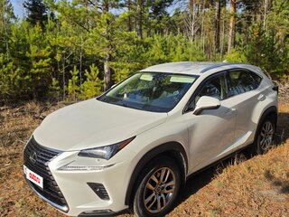2019 Lexus NX 200 I Рестайлинг, белый, 3650000 рублей, вид 1