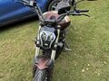 2024 Benelli 502 C, пурпурный, 500000 рублей - вид 6