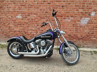 2002 Harley-Davidson Softail Deuce, синий, 800000 рублей, вид 4