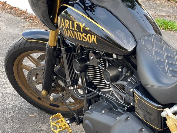 2016 Harley-Davidson Dyna Low Rider, чёрный, 1240000 рублей - вид 14
