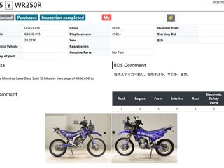 2017 Yamaha WR250R, синий, 595000 рублей, вид 2
