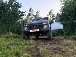 2009 Lada (ВАЗ) 2131 (4x4) I, серебристый, 520000 рублей, вид 4