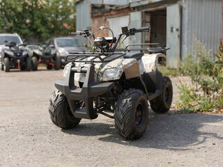 2026 Motoland ATV 110 Rider, серый, 73700 рублей, вид 1