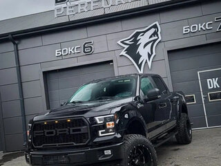 2017 Ford F-150 XIII, чёрный, 5450000 рублей, вид 1