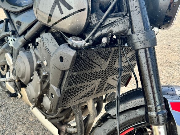 2021 Triumph Trident 660, серебристый, 700000 рублей - вид 8