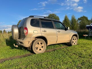 2011 Chevrolet Niva I Рестайлинг, серый, 320000 рублей, вид 4