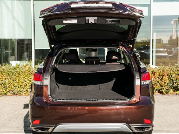 2021 Lexus RX 300 IV Рестайлинг, коричневый, 4400000 рублей - вид 25