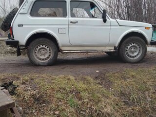 1994 Lada (ВАЗ) 2121 (4x4) I Рестайлинг, белый, 250000 рублей, вид 3