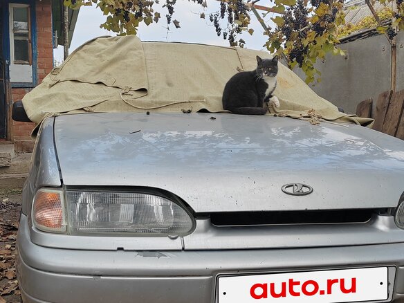 2008 Lada (ВАЗ) 2113, серебристый, 150000 рублей - вид 5