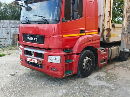 2016 КамАЗ 5490, красный, 2300000 рублей, вид 3