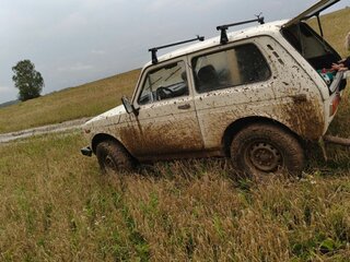 1990 Lada (ВАЗ) 2121 (4x4) I, бежевый, 160000 рублей, вид 2