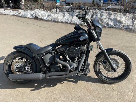 2001 Harley-Davidson Softail Custom, чёрный, 1790000 рублей, вид 1