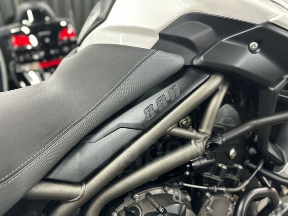 2019 Triumph Tiger 800, белый, 1050000 рублей - вид 25