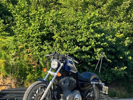 2008 Harley-Davidson Sportster 883, синий, 520000 рублей, вид 4