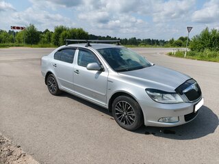 2010 Skoda Octavia II (A5) Рестайлинг, серебристый, 715000 рублей, вид 2
