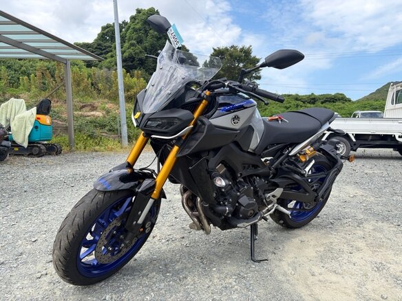 2018 Yamaha MT-09 (FZ-09), серый, 915000 рублей - вид 20
