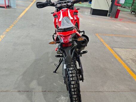 2026 Loncin DS250, пурпурный, 258000 рублей, вид 4