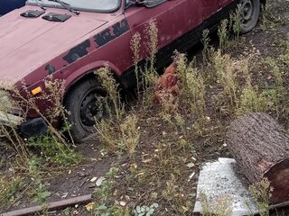2004 Lada (ВАЗ) 2104 4-speed, красный, 55000 рублей, вид 1
