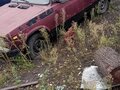 2004 Lada (ВАЗ) 2104 4-speed, красный, 55000 рублей