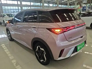 2022 BYD Dolphin 44.9 kWh I, розовый, 1350000 рублей, вид 4
