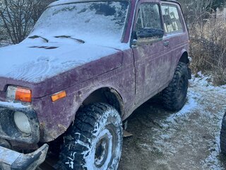 1997 Lada (ВАЗ) 2121 (4x4) I Рестайлинг, красный, 180000 рублей, вид 2