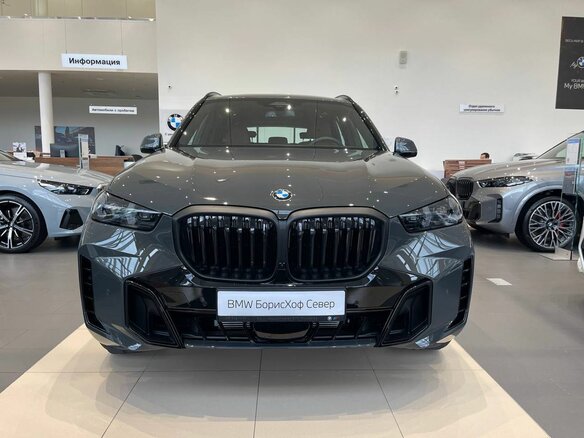 2025 BMW X5 40i IV (G05/G18) Рестайлинг, серый, 14800000 рублей - вид 1