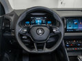 2025 Skoda Karoq DSG7 I, чёрный, 3400000 рублей - вид 10