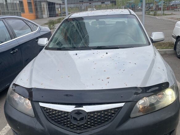 2005 Mazda 6 I (GG) Рестайлинг, серебристый, 335000 рублей - вид 3